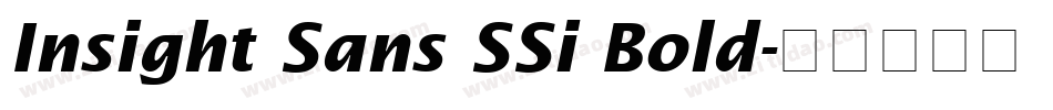 Insight Sans SSi Bold字体转换